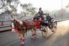 commemorationparade31jan2011102_small.jpg