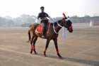 commemorationparade31jan2011239_small.jpg